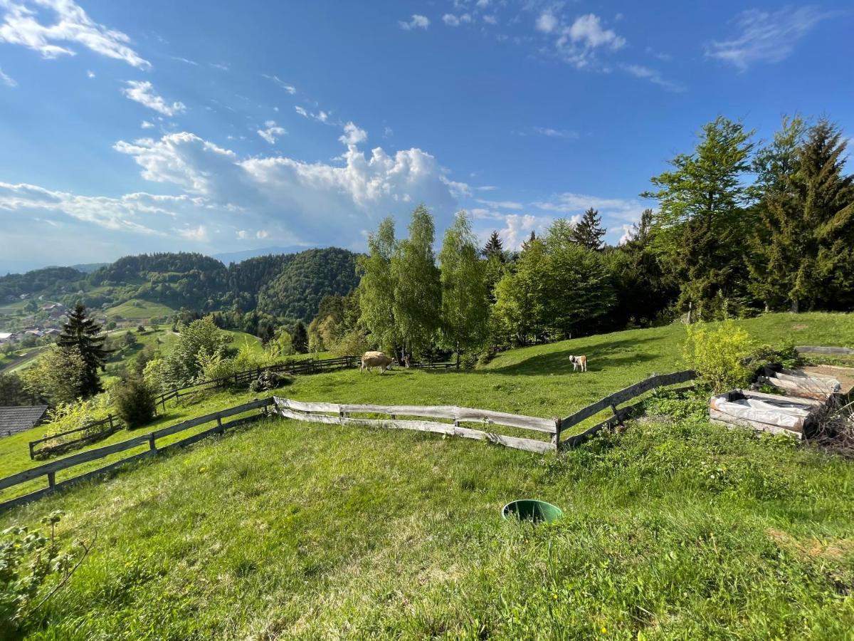 Mountain View Cottage Kamnik Εξωτερικό φωτογραφία